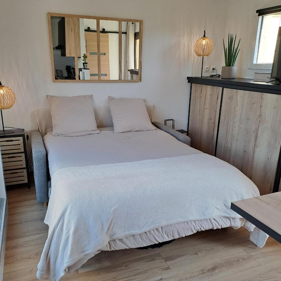 Studio Climatise Cosy Avec Grande Piscine Chauffee Agde Buitenkant foto